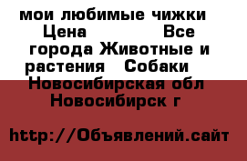 мои любимые чижки › Цена ­ 15 000 - Все города Животные и растения » Собаки   . Новосибирская обл.,Новосибирск г.